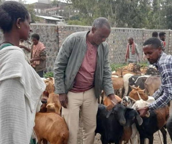A family receiving their goats from foundation coordinators